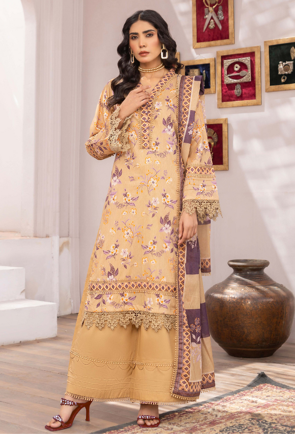 Rang e Noor - D12