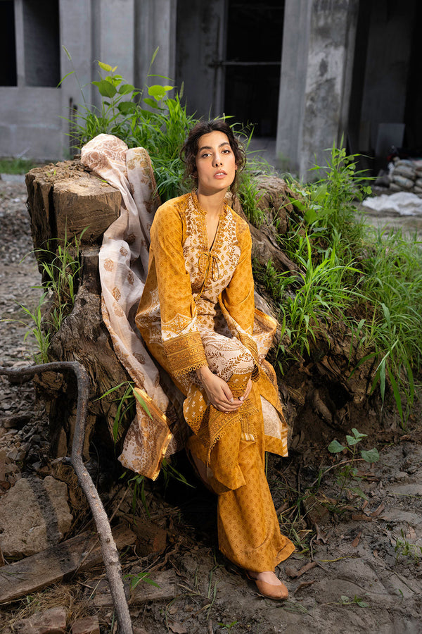 DESIGN 1A FALL EDIT 2024