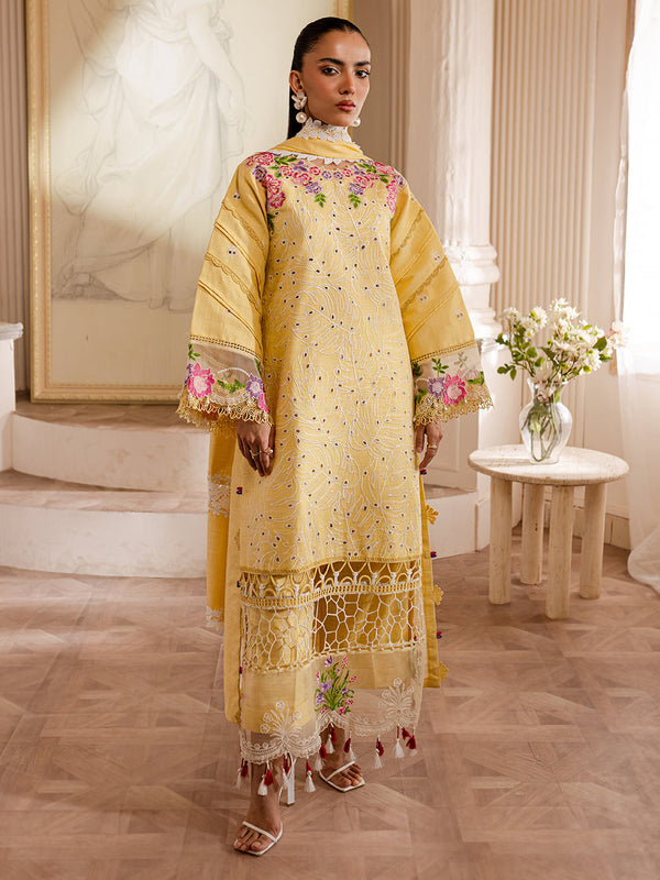 MW-01 | 3 PC Khaddar