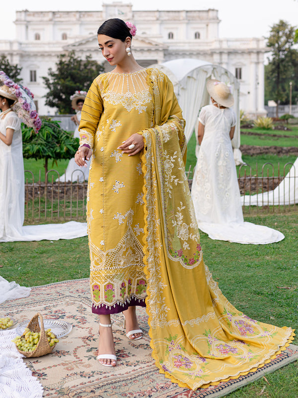 PN-11 | 3 PC Khaddar