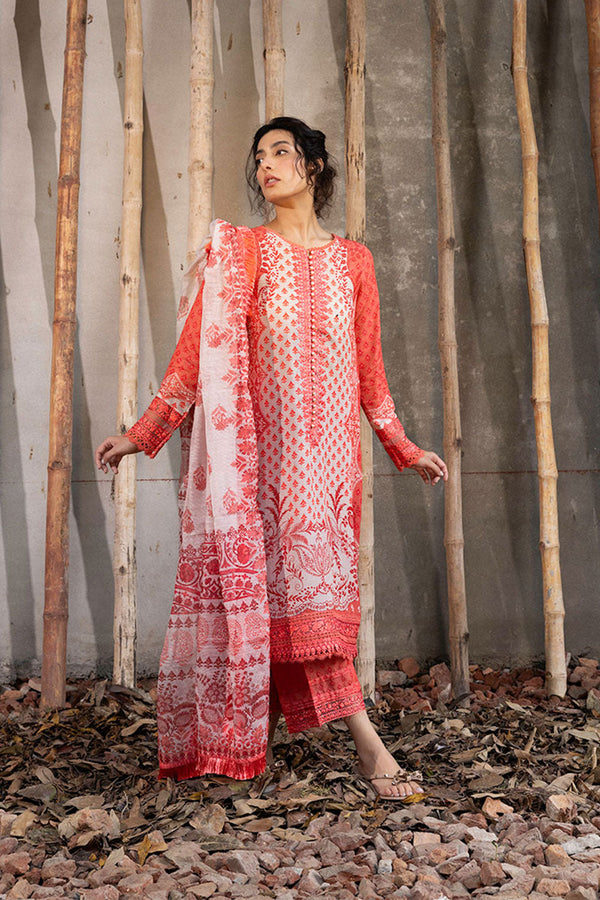 DESIGN 1B FALL EDIT 2024