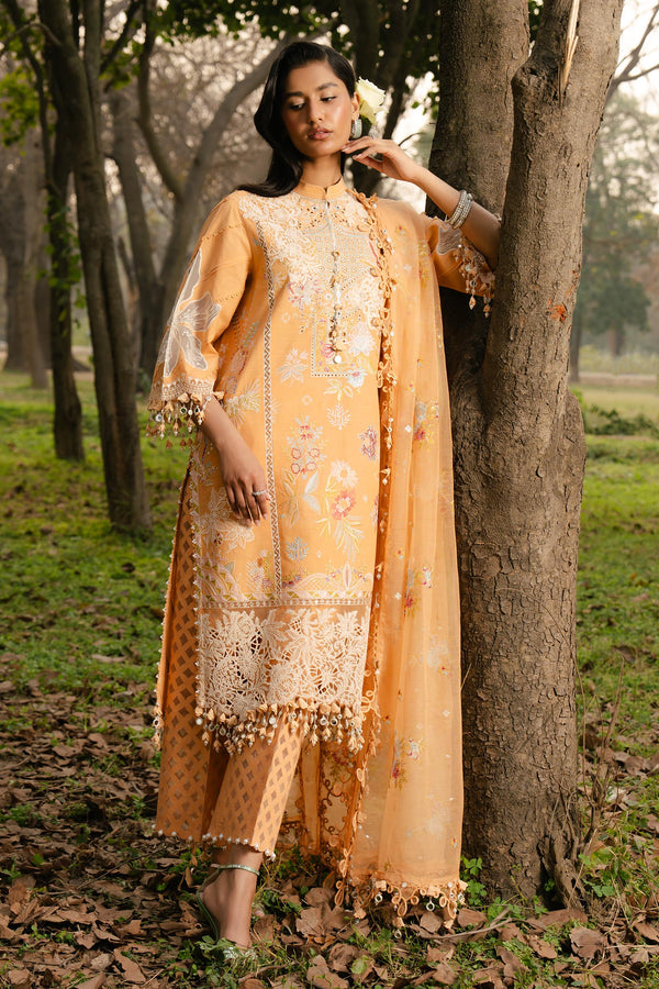 L251-008B-3CT